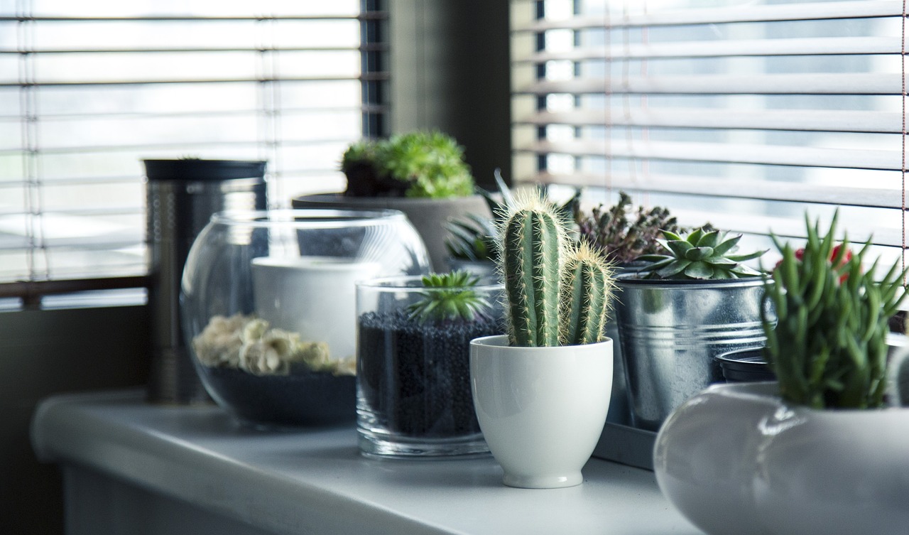 ¿Cómo utilizar el musgo seco para decorar tu hogar?