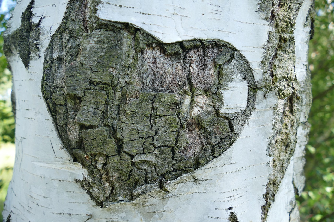 Descubriendo el Significado del Árbol del Amor