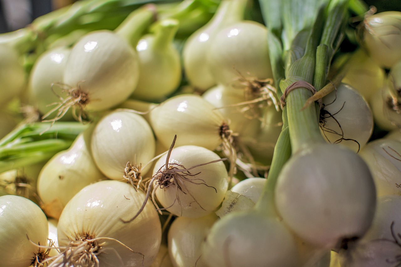 ¿Cómo plantar cebolla dulce para una cosecha exitosa?