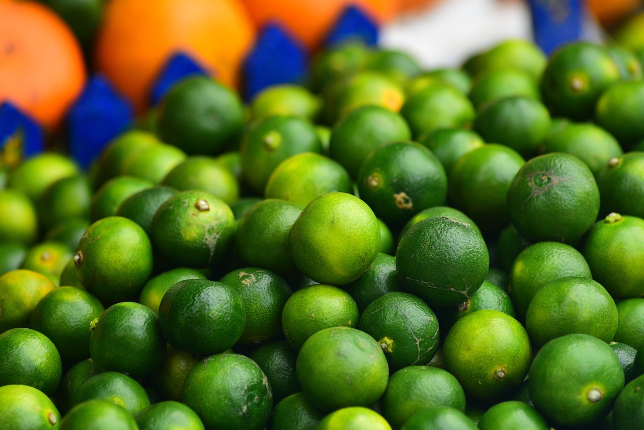 ¿Cuándo es la mejor época para cosechar el kumquat?”