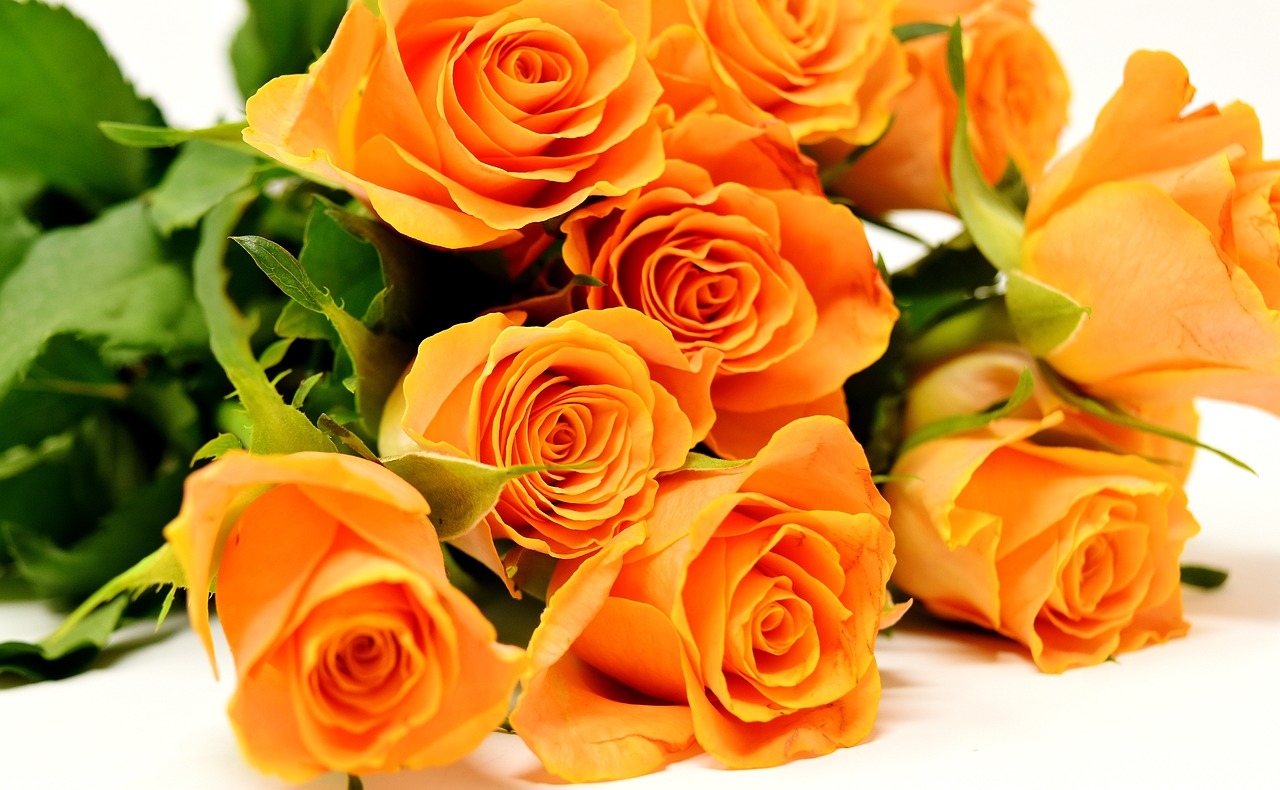 ¿Qué simboliza una rosa naranja?”